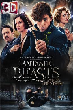 Fantastic Beasts and Where to Find Them สัตว์มหัศจรรย์และถิ่นที่อยู่ (2016) 3D