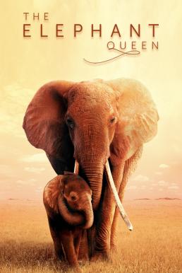 The Elephant Queen (2019)