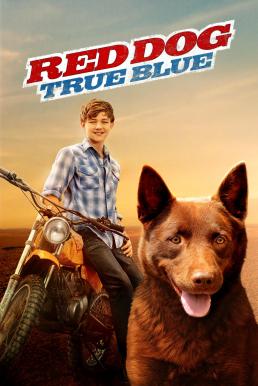 Red Dog: True Blue (2016) HDTV