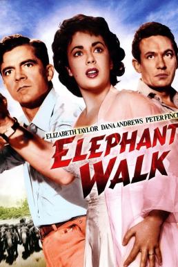 Elephant Walk (1953) บรรยายไทย