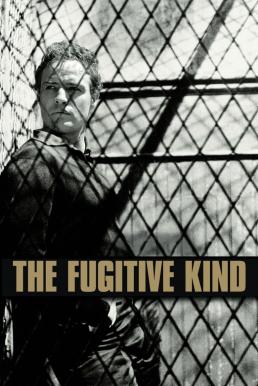 The Fugitive Kind (1960) บรรยายไทย