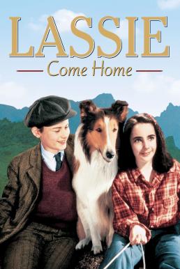 Lassie Come Home (1943) บรรยายไทย